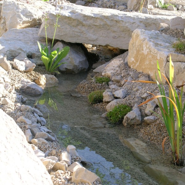 DSCN1458